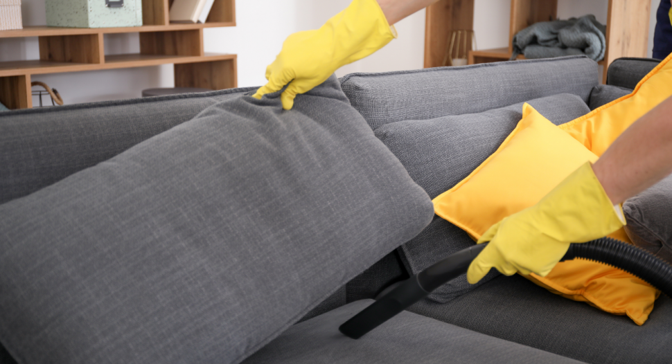 The Importance of Sofa Cleaning