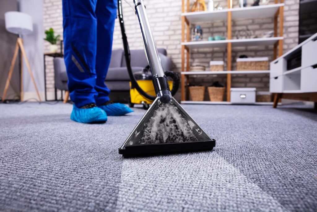 The Importance of Professional Carpet Cleaning