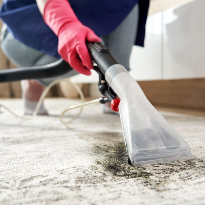 how-to-use-carpet-cleaner-1276683209-5b78f676fffb45f6851e0c80da99598d